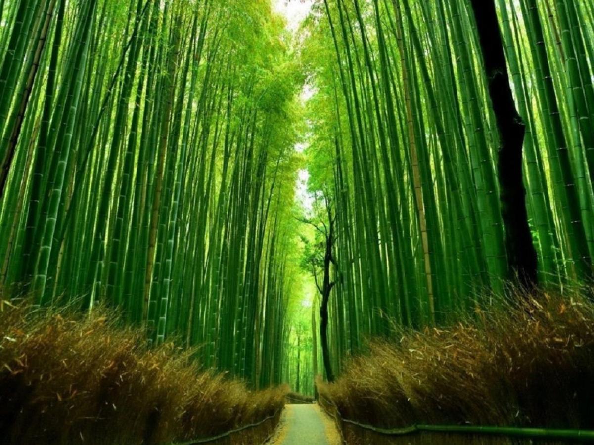 行灯離れ京都五条 Andon Hanare Kyoto Gojo Exteriér fotografie